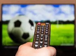 大王伤势轻,却将缺席北,京赛事,9You,九游,九游体育入口,九游官网,九游体育APP下载